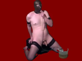 Stupid little dick loser sebastian so happy to get another full bucket of piss (the human piss tank)
