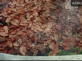 Diego luna and gael garcía swim naked